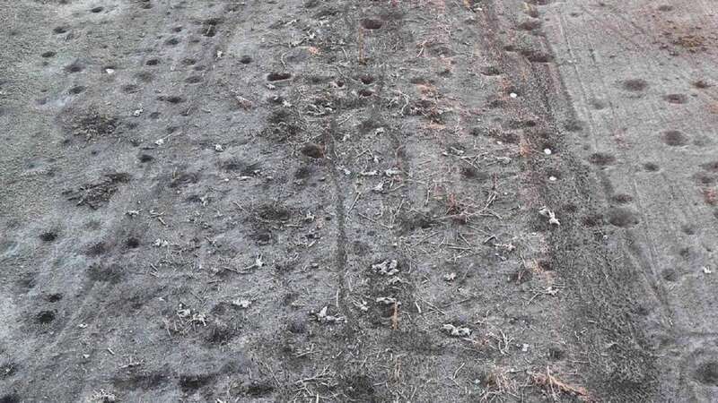 фото із соцмереж dqxikeidqxidqeant