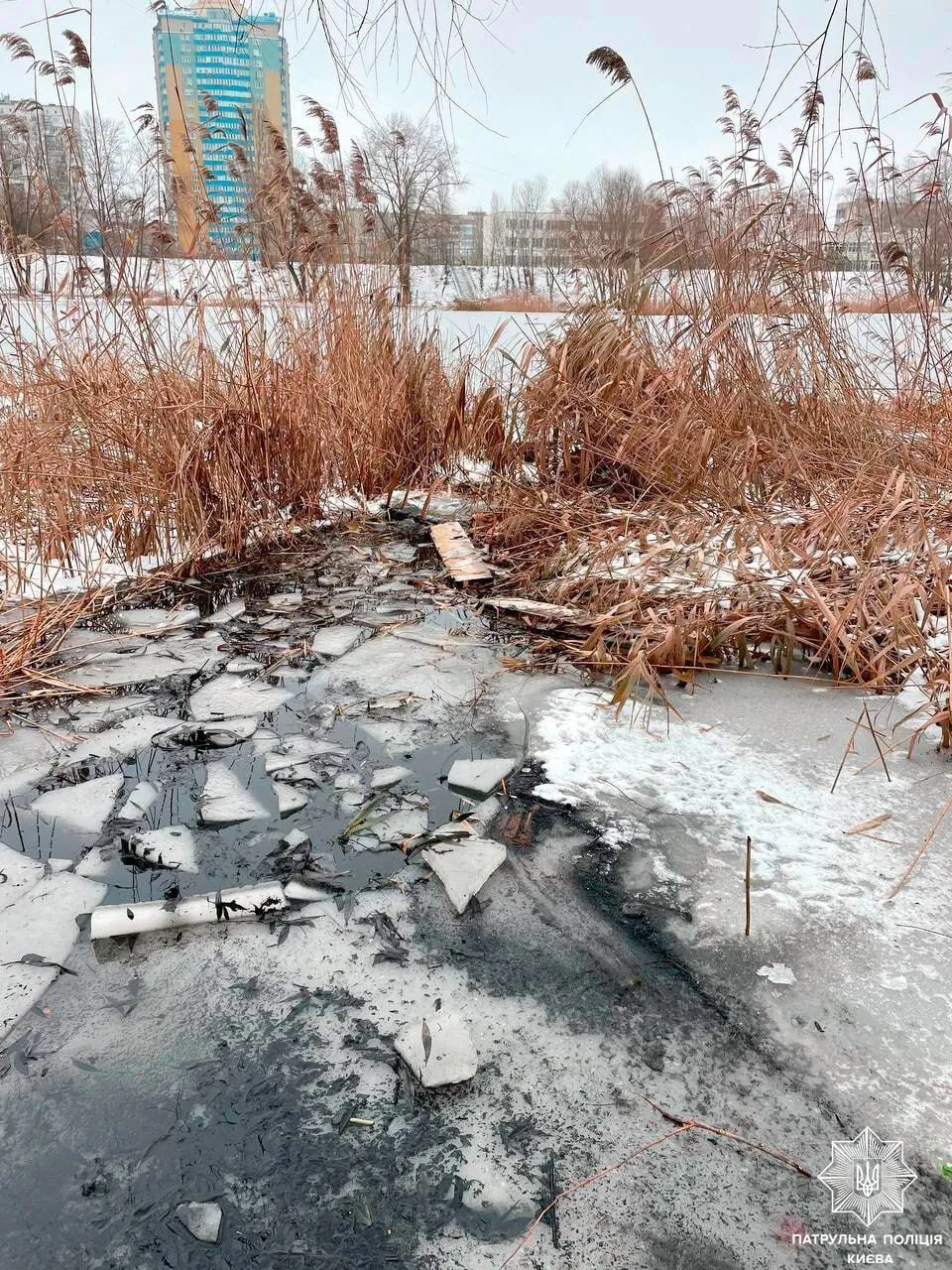 В Киеве патрульные, рискуя собственной жизнью, спасли мужчину: подробности и фото dqxikeidqxidqrant