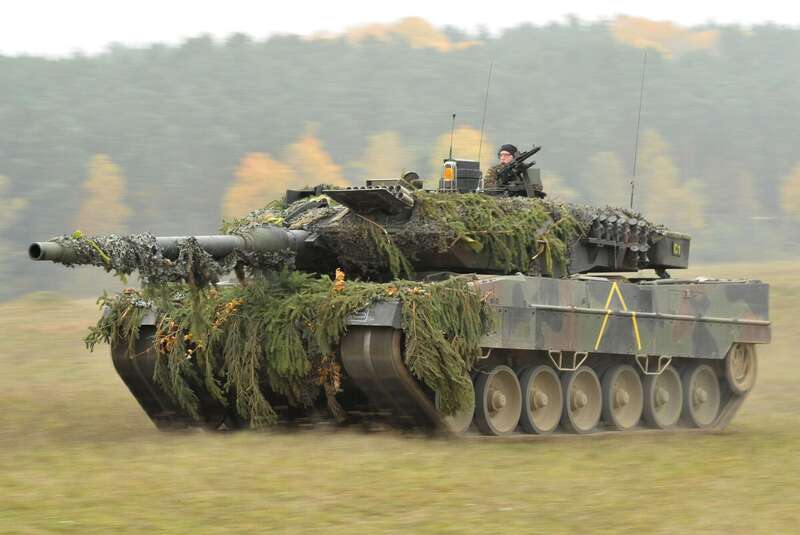   Leopard 24