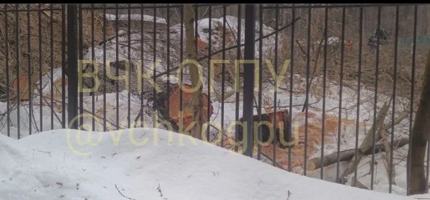  :         .  dqxikeidqxiqthant