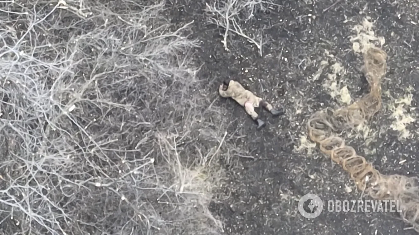 Поранений загарбник