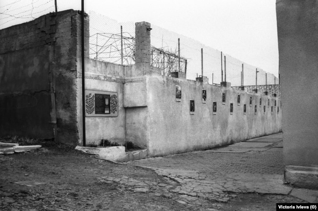 Стіна з портретами українських гетьманів dqxikeidqxidqrant