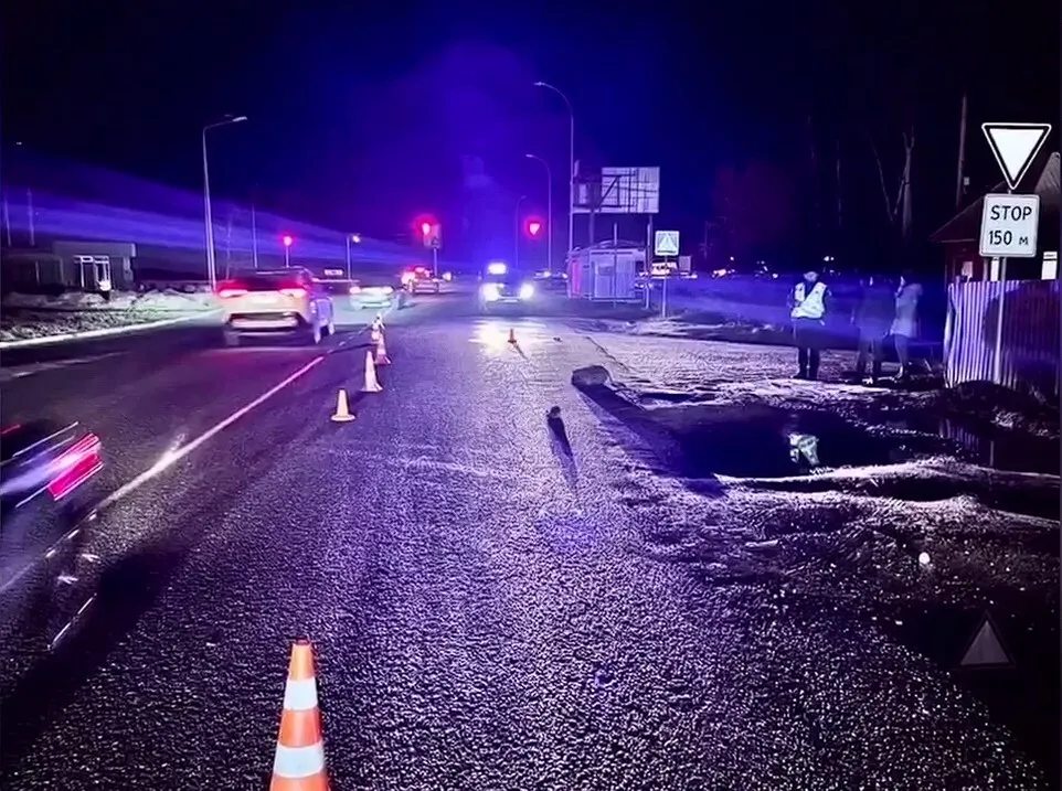 На Київщині водій Mercedes збив велосипедиста та втік: постраждалий помер у лікарні. Відео dqxikeidqxidqrant