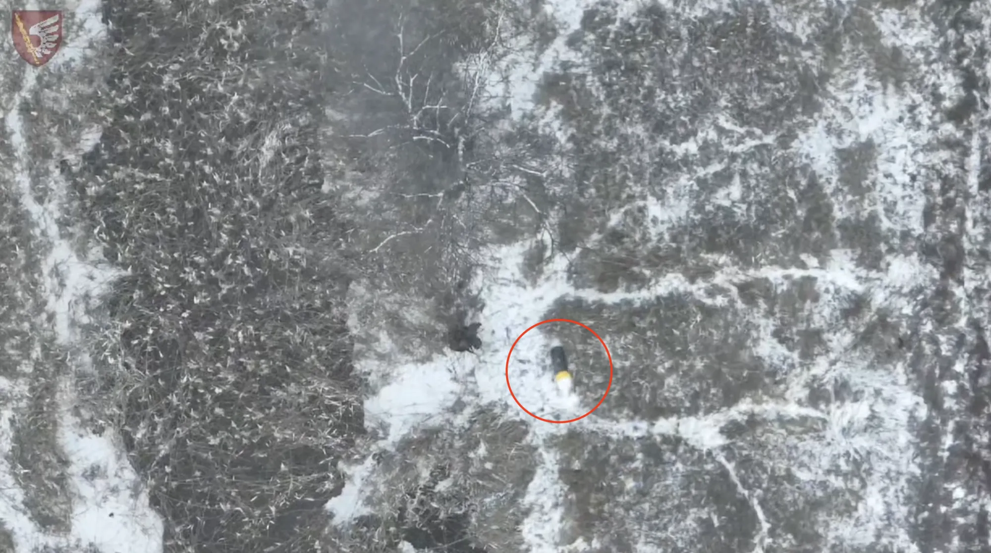 Українські десантники відбили штурм поблизу Мар’їнки: окупанти зазнали втрат і втекли. Відео dqxikeidqxidqeant