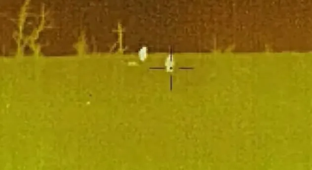       . ³ dqxikeidqxidqeant