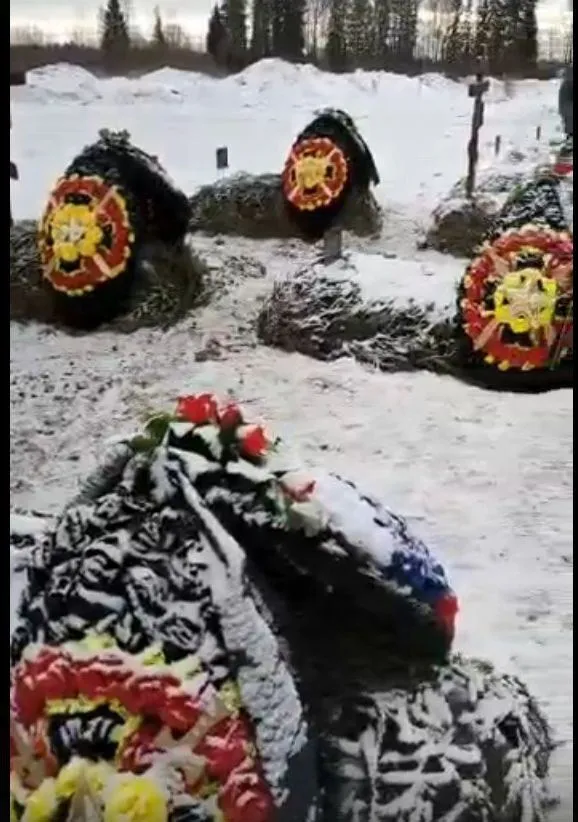      ⒒.  dqxikeidqxidqrant