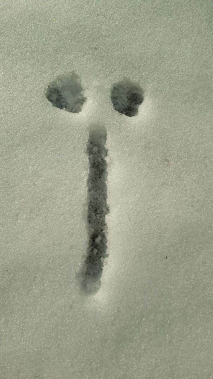 ’’ВСУ близко’’: патриоты еще раз напомнили оккупантам, что Мариуполь – это Украина. Фото