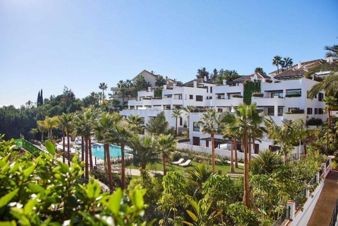 Lomas del Rey,  dqxikeidqxidqrant