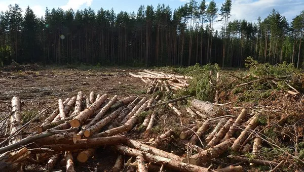 ord jurushev red html 26e0fb97