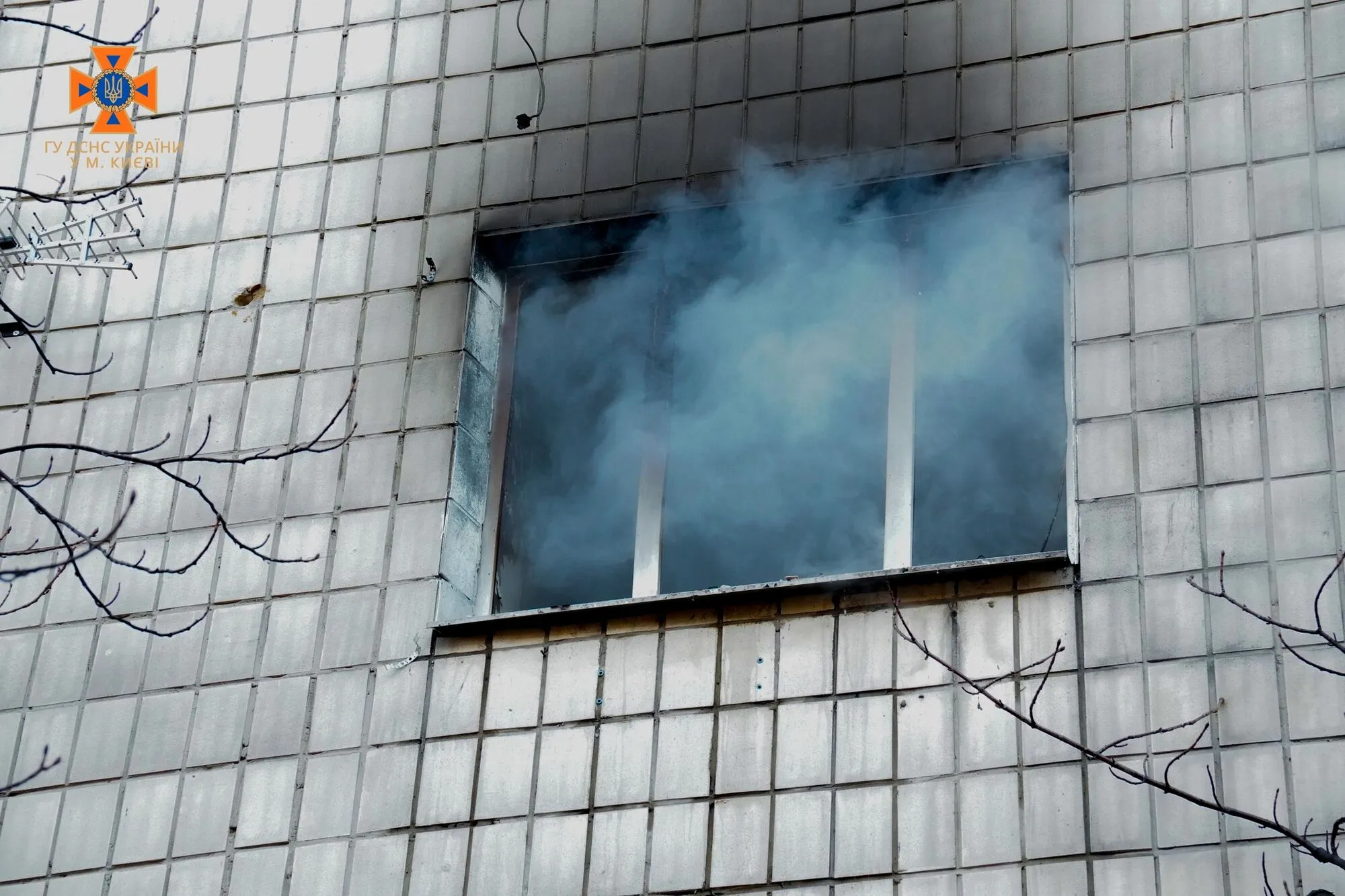           :     .  dqxikeidqxihuant