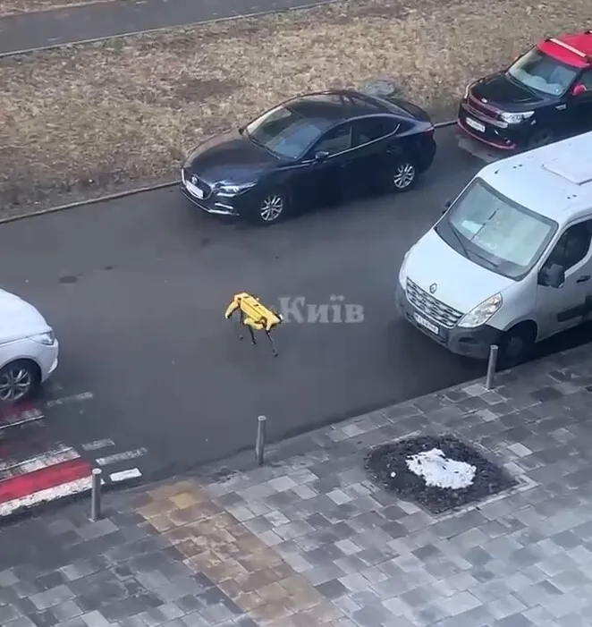   볒:    -  Boston Dynamics  . ³  dqxikeidqxiqzant