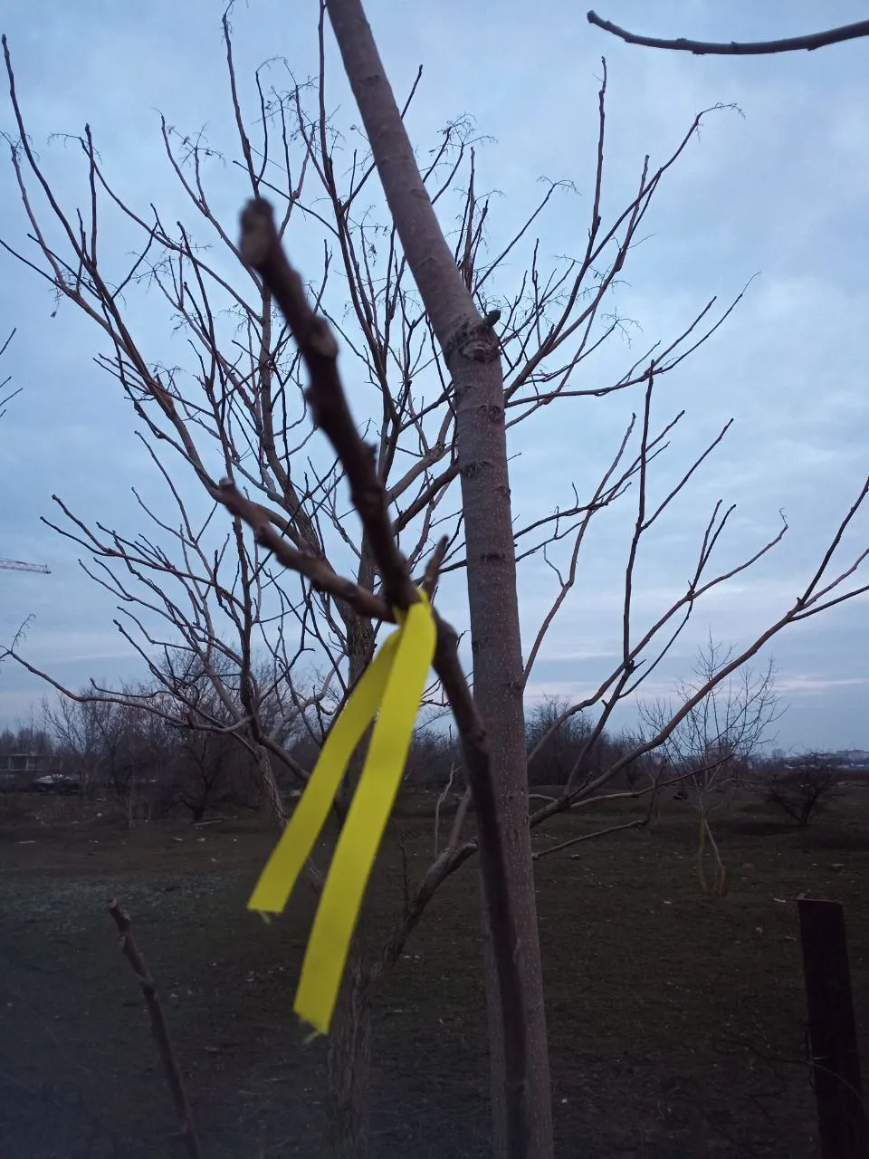 ВСУ близко: украинцы оставили ’’приветы’’ оккупантам в Луганске. Фото