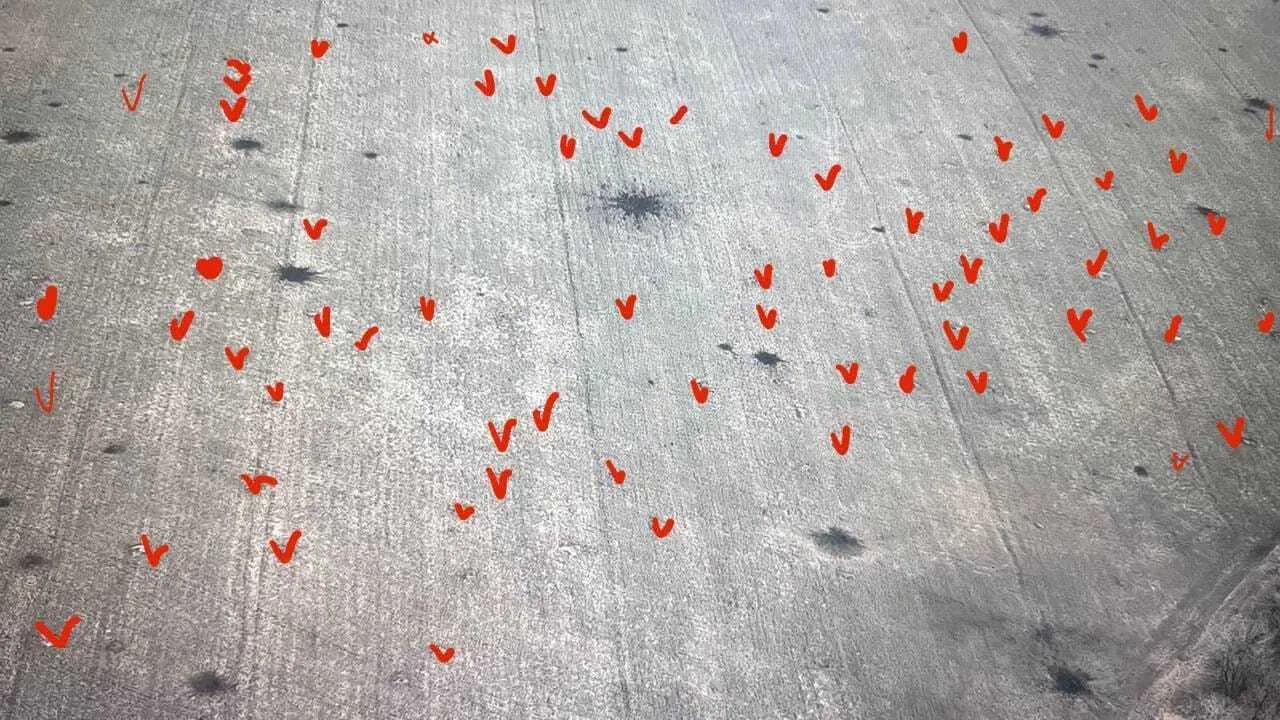 ’’Помста за наших’’: захисники України показали ’’усіяні’’ тілами окупантів поля. Фото