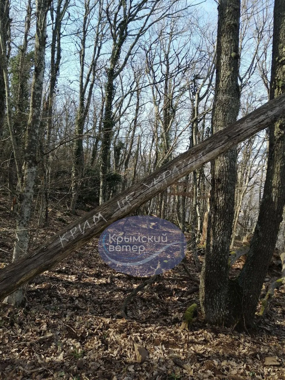  –  :      .  dqxikeidqxidqrant