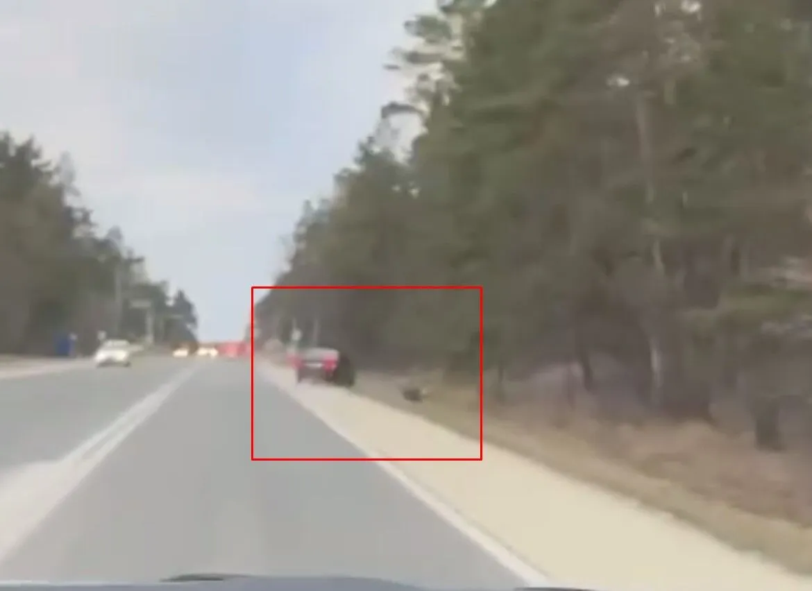     :    . ³ dqxikeidqxidqeant