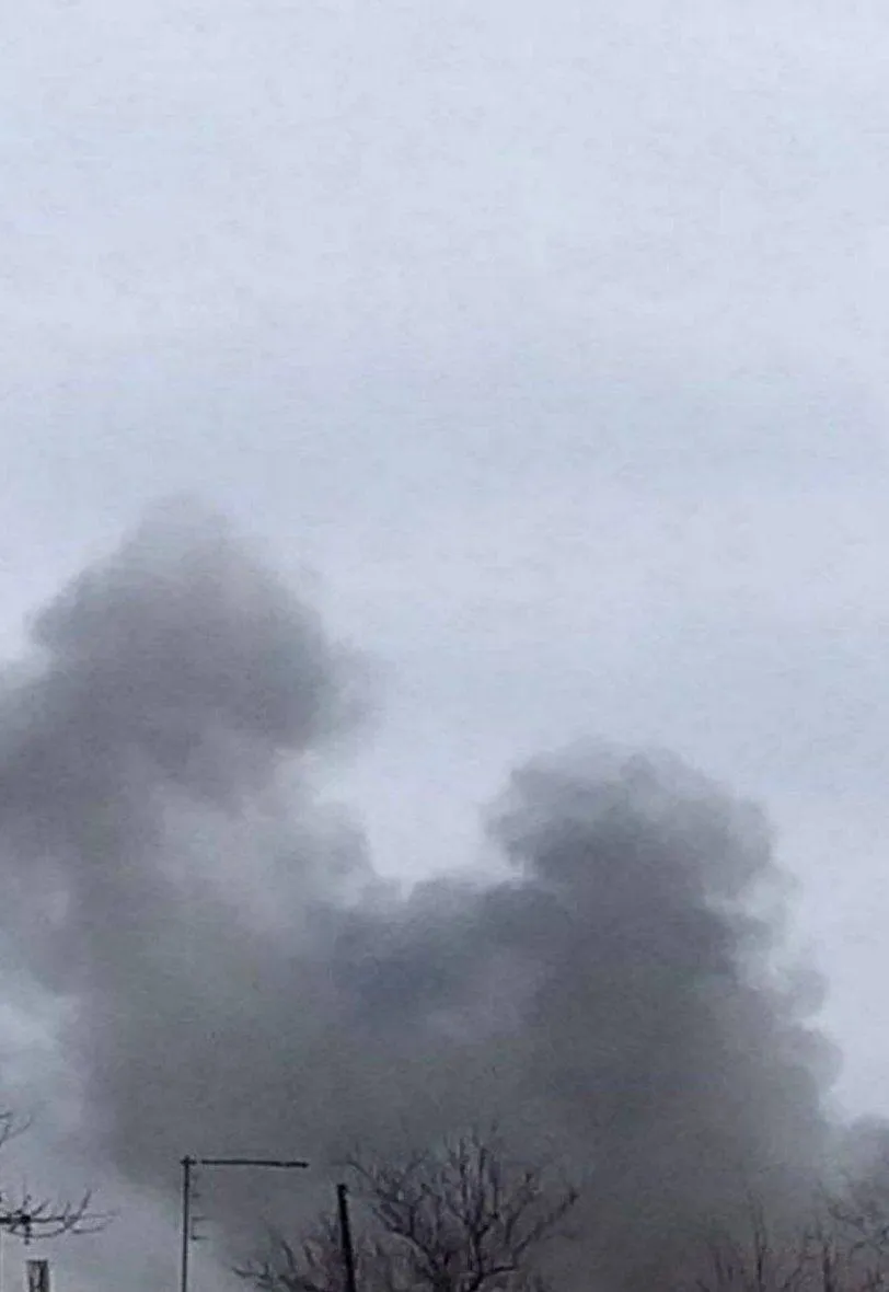   :     ꒒,   .  dqxikeidqxidqeant