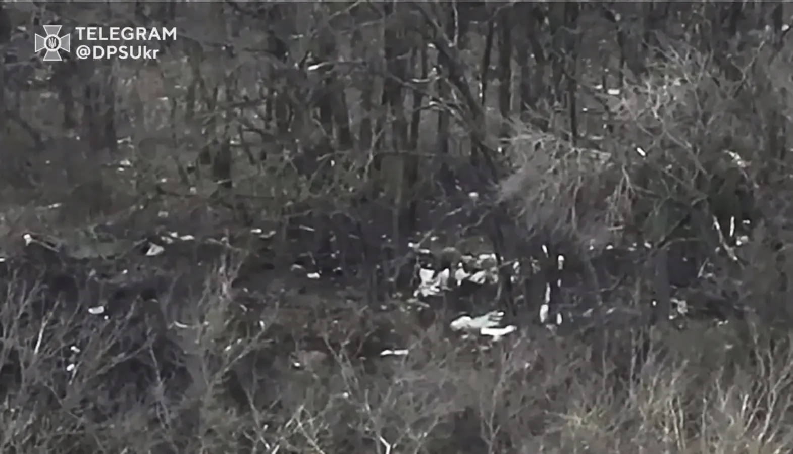 Устроили ’’фейерверк’’: защитники Украины уничтожили ’’опорник’’ оккупантов с БК на Купянском направлении. Видео dqxikeidqxidqrant