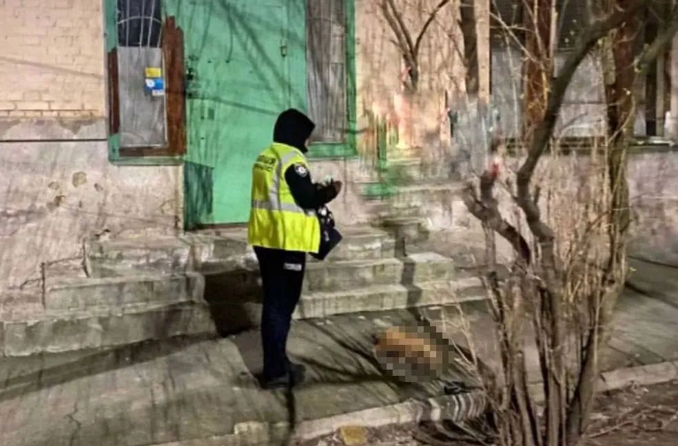       :      dqxikeidqxiquant