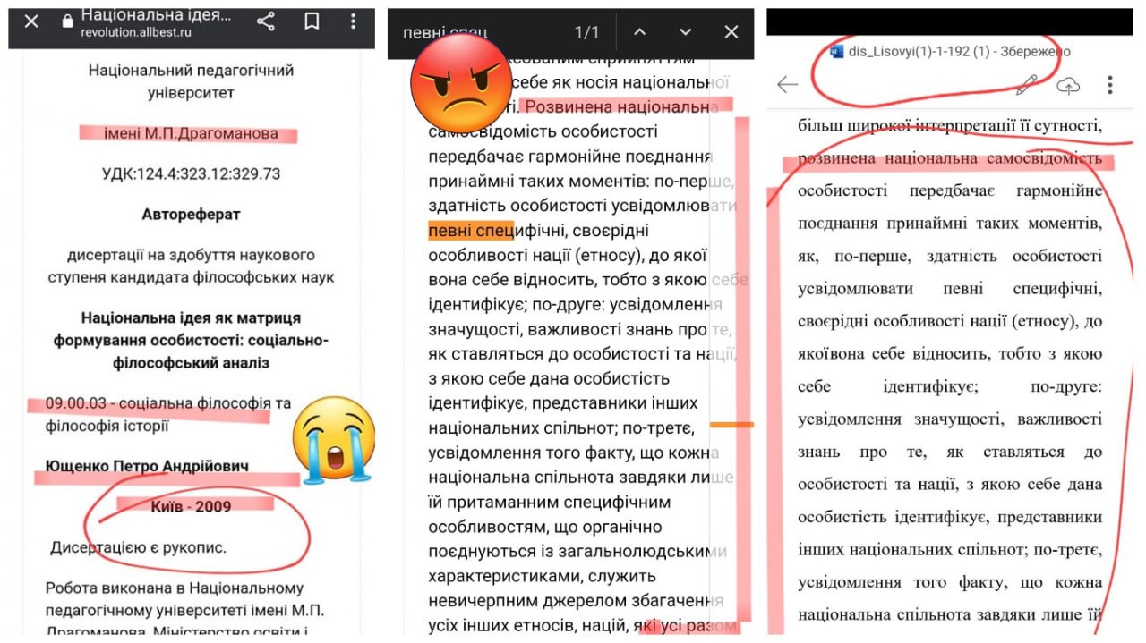 Шматки вкраденого тексту, фото 1