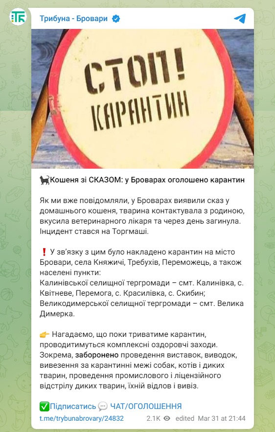 Скріншот із Телеграм dqxikeidqxidqrant