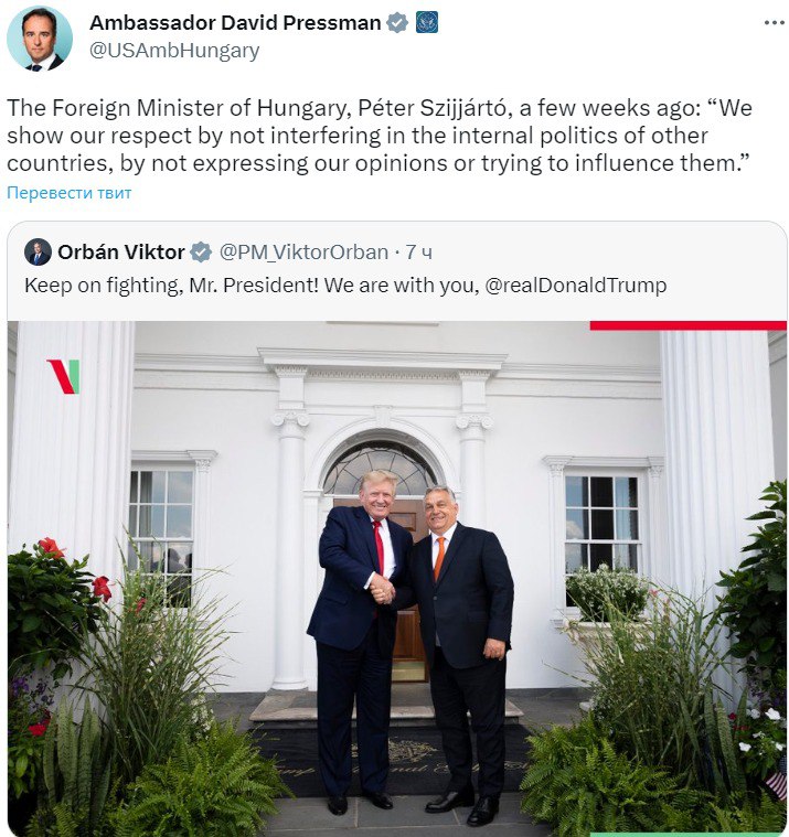 Скріншот із Твіттера dqxikeidqxidqeant