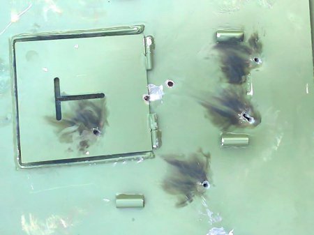  128-         () dqxikeidqxidqrant