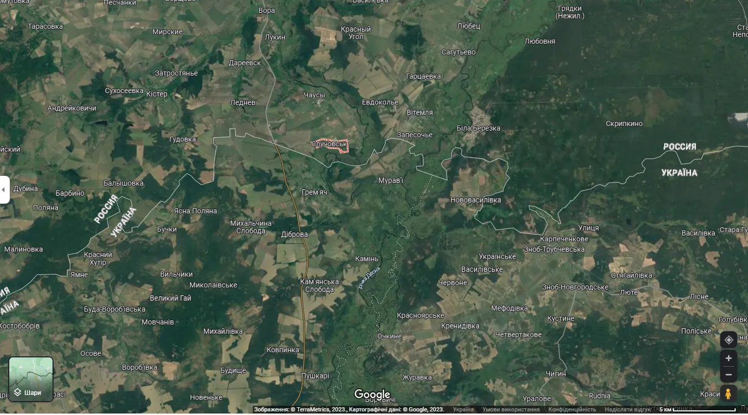 У Брянській області поскаржилися на атаку української ДРГ