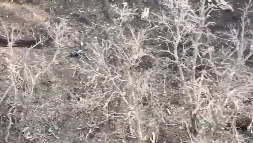     :       . ³ dqxikeidqxidqrant