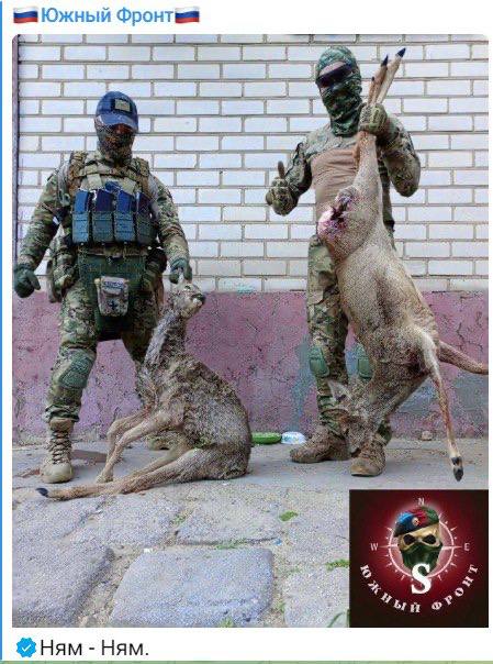 Вбиті олені dqxikeidqxidqrant