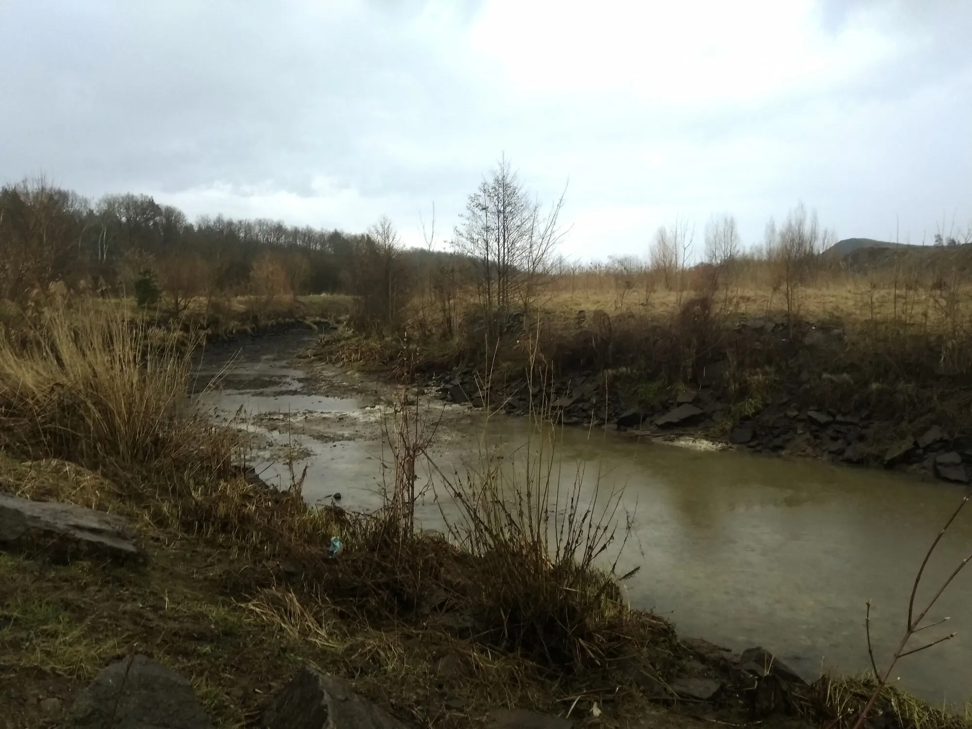 За несколько метров воды в реке уже нет