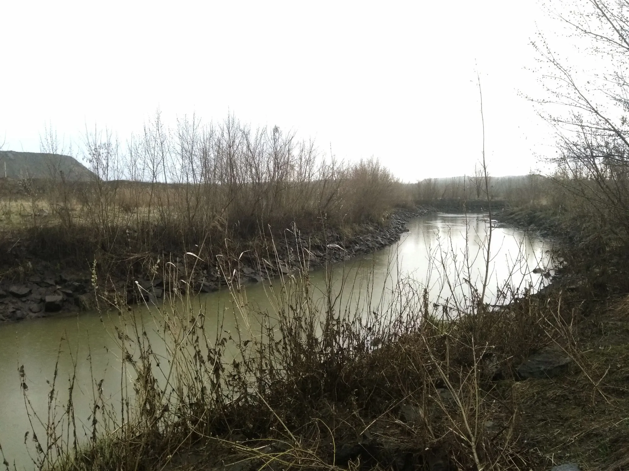 Вода у річці Ірша