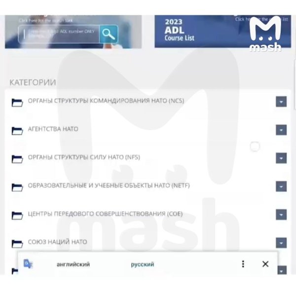 хакеры killnet, российские хакеры взломали, атака хакеров сегодня dqxikeidqxidqeant