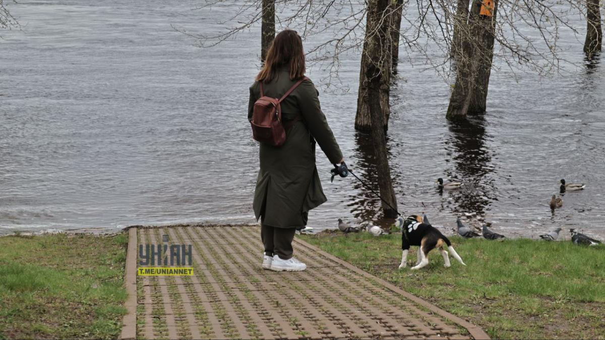 Фото УНІАН dqxikeidqxidqeant