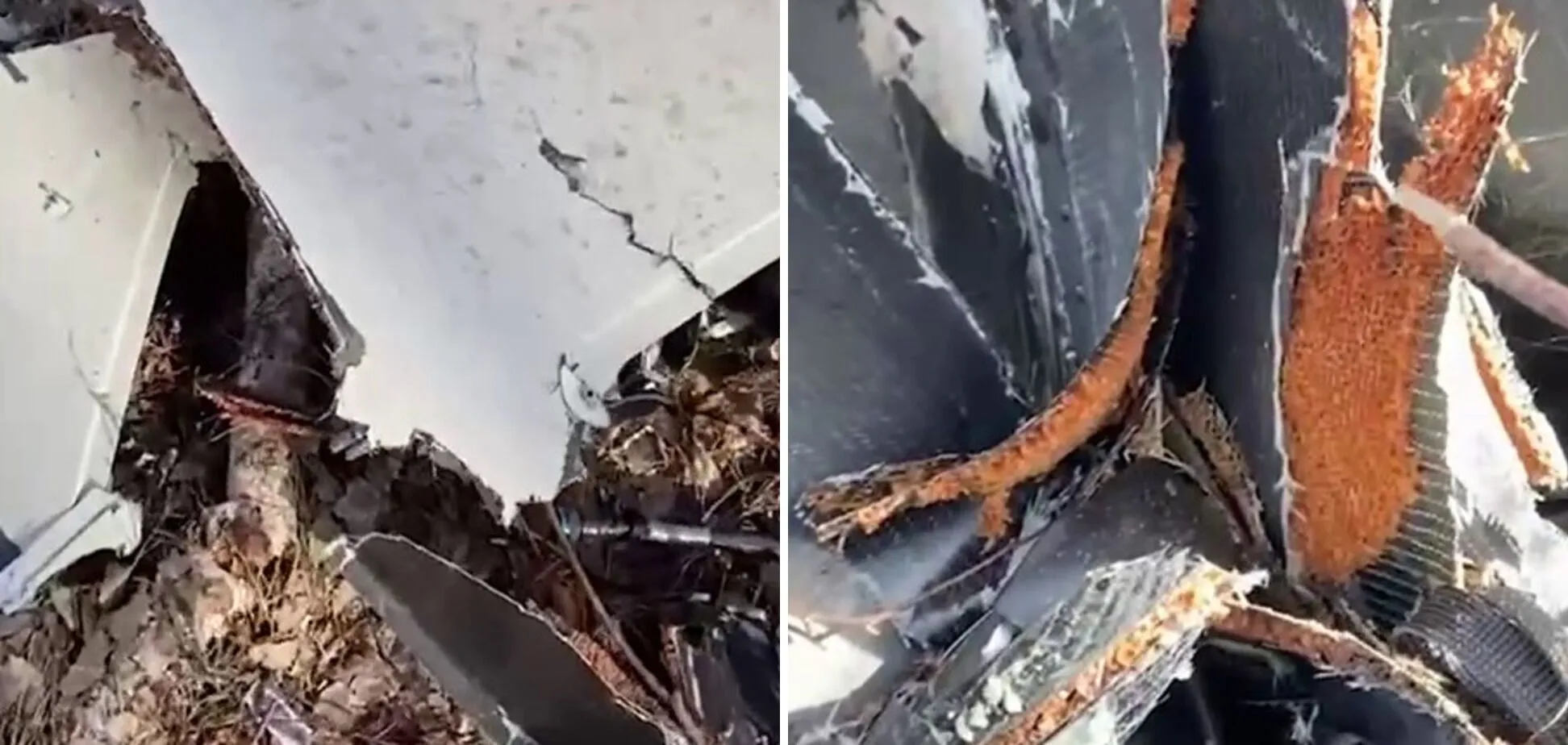 Сдетонировать не успел: в Черниговской области украинские пограничники сбили вражеский "Шахед". Видео dqxikeidqxidqeant