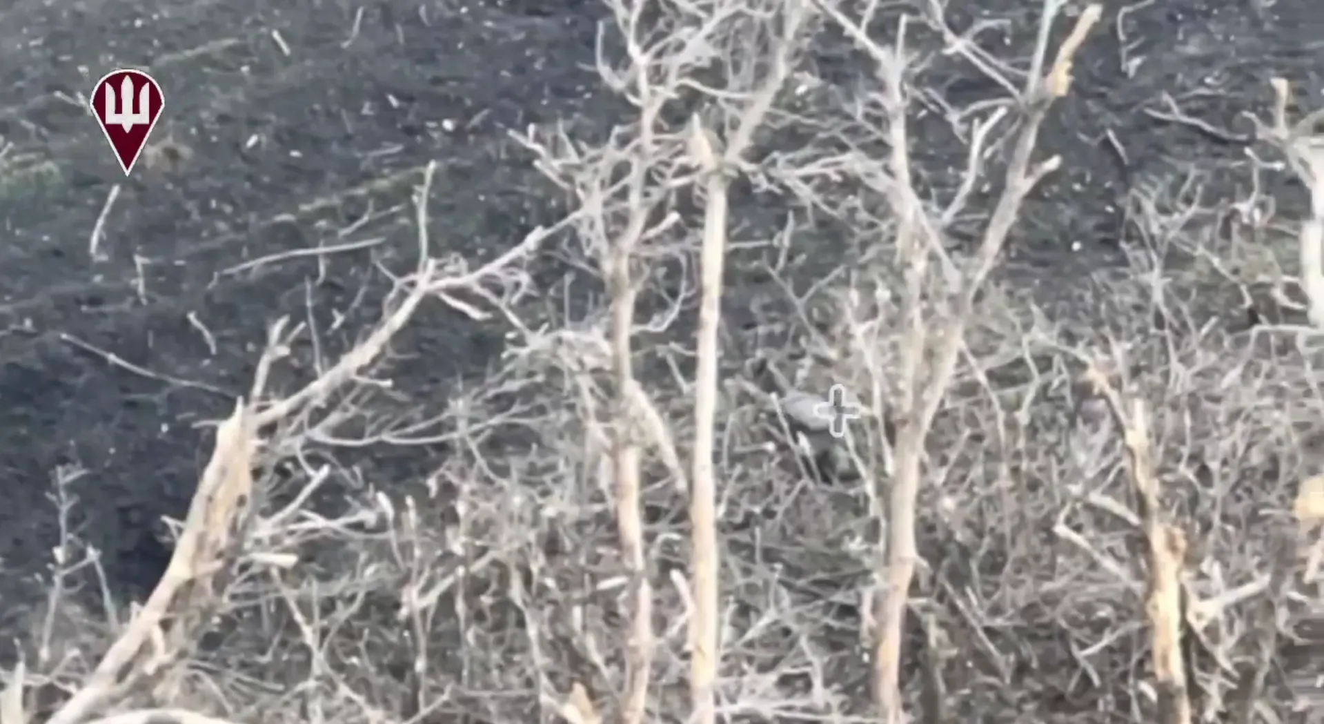 Українські артилеристи влаштували окупантам game over. Відео