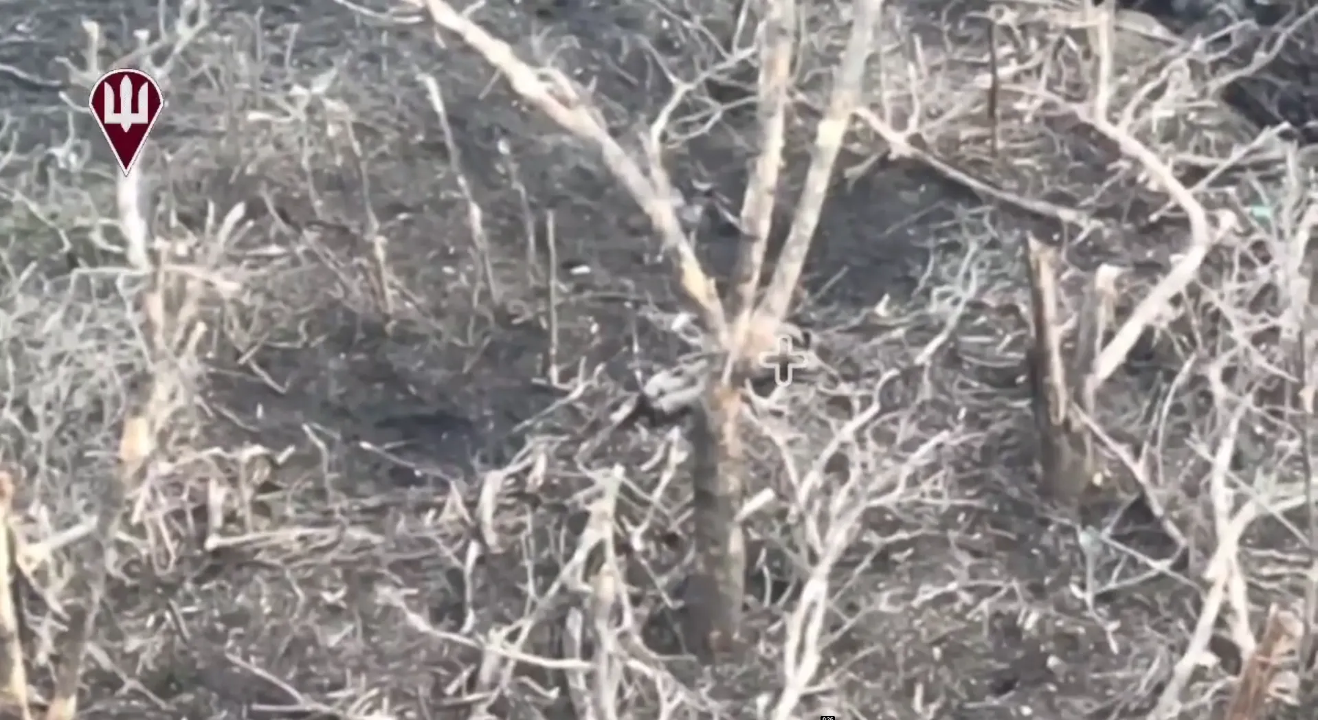 Українські артилеристи влаштували окупантам game over. Відео