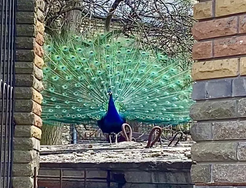        .    dqxikeidqxidqeant