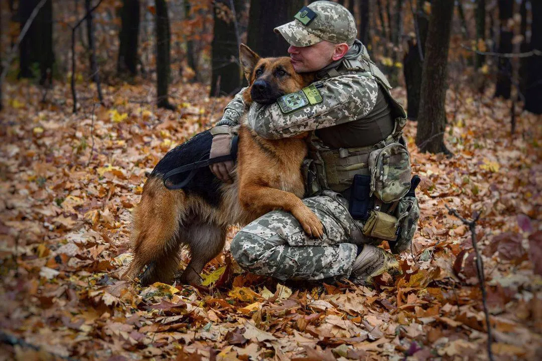 "Герої, які першими зустріли ворога": Зеленський привітав українських прикордонників. Фото dqxikeidqxidqeant