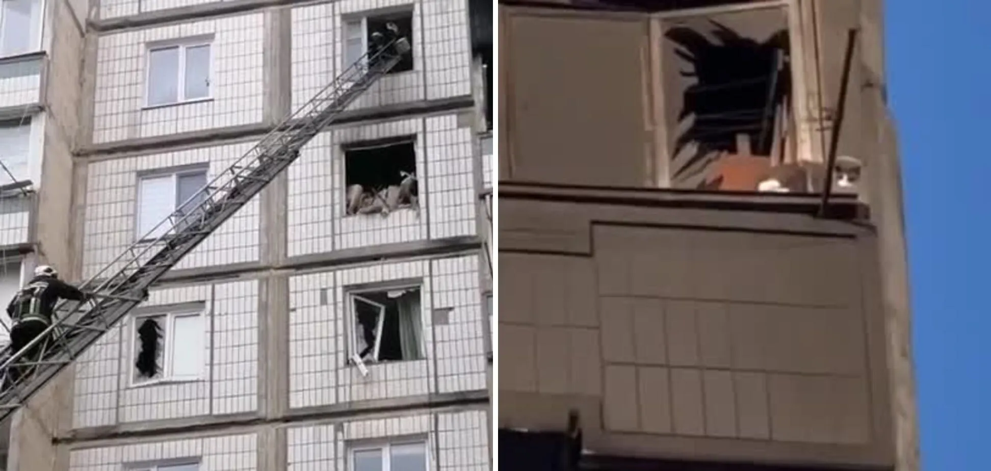В Умані зі зруйнованого ракетним ударом будинку врятували котика: відео торкнулося мережі dqxikeidqxidqrant