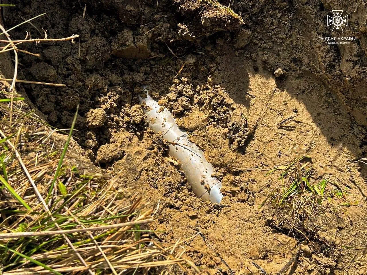 В Киевской области мужчина обнаружил возле своего огорода российскую ракету: ее уничтожили на месте. Фото и видео dqxikeidqxidqeant