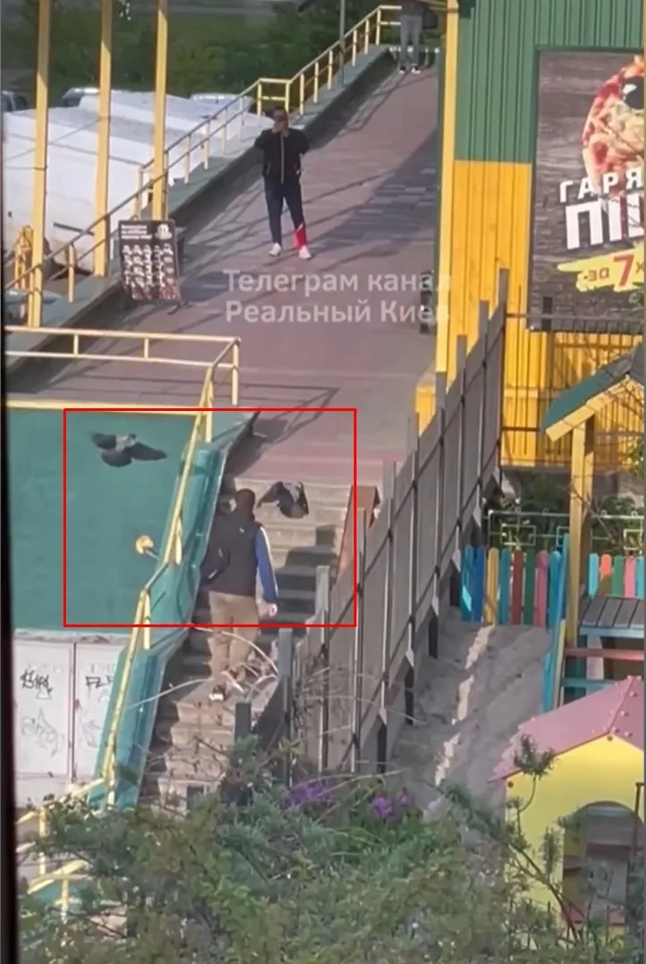 У Києві ворони атакують відвідувачів супермаркету: у чому причина агресії птахів. Відео dqxikeidqxidqrant