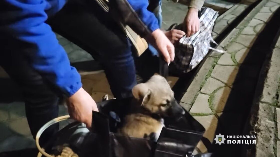 Из поселка под Бахмутом эвакуировали последнего ребенка: спецоперацию проводили ночью