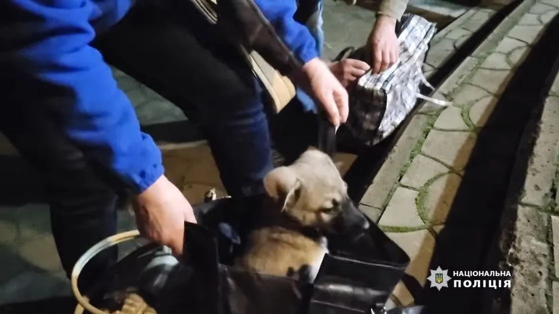 Із селища під Бахмутом евакуювали останню дитину: спецоперацію проводили вночі