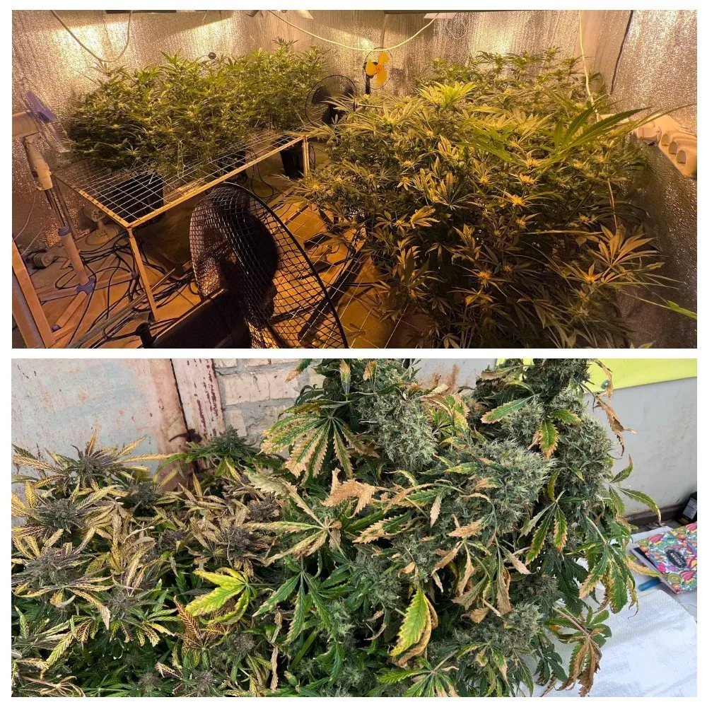 В Киеве разоблачили двух братьев, организовавших семейный "бизнес" по продаже наркотиков. Фото и видео dqxikeidqxidqeant