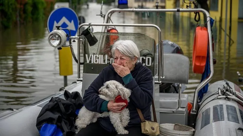  볿     14 :     dqxikeidqxiuuant