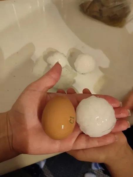  ?         ,   .     dqxikeidqxiqdxant