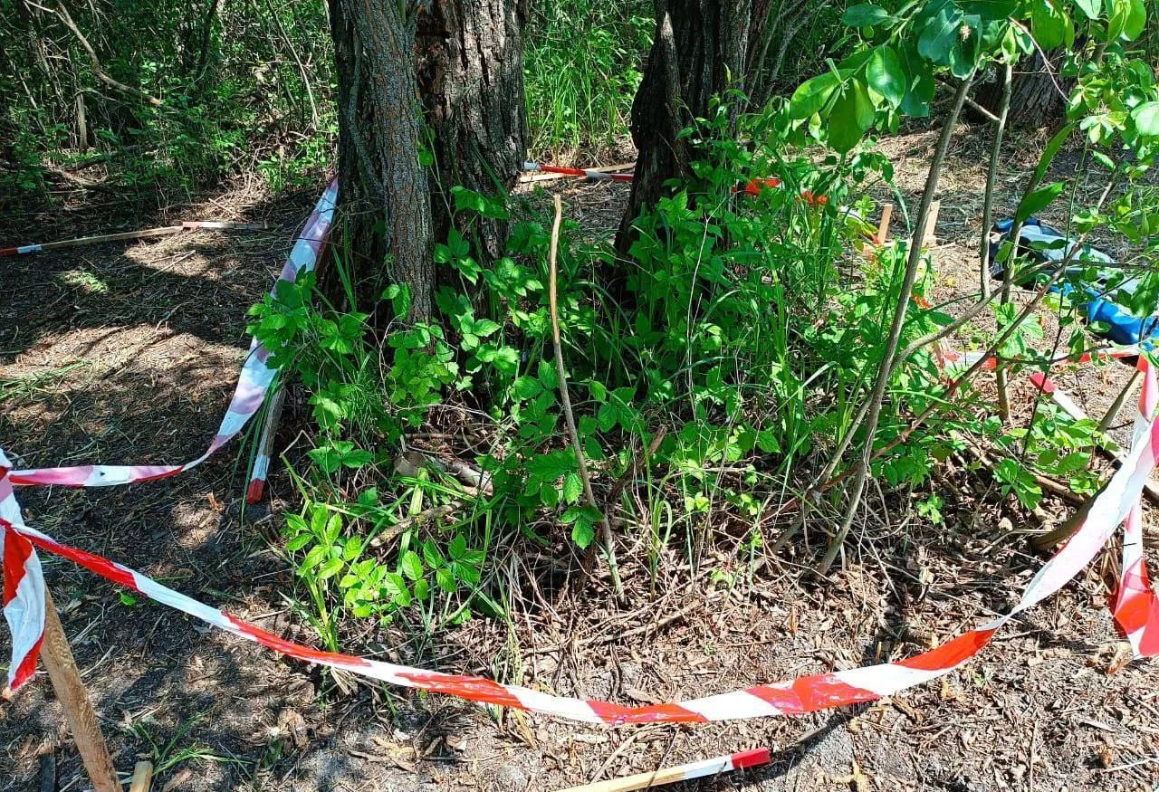   ,  ,     .  dqxikeidqxidqrant