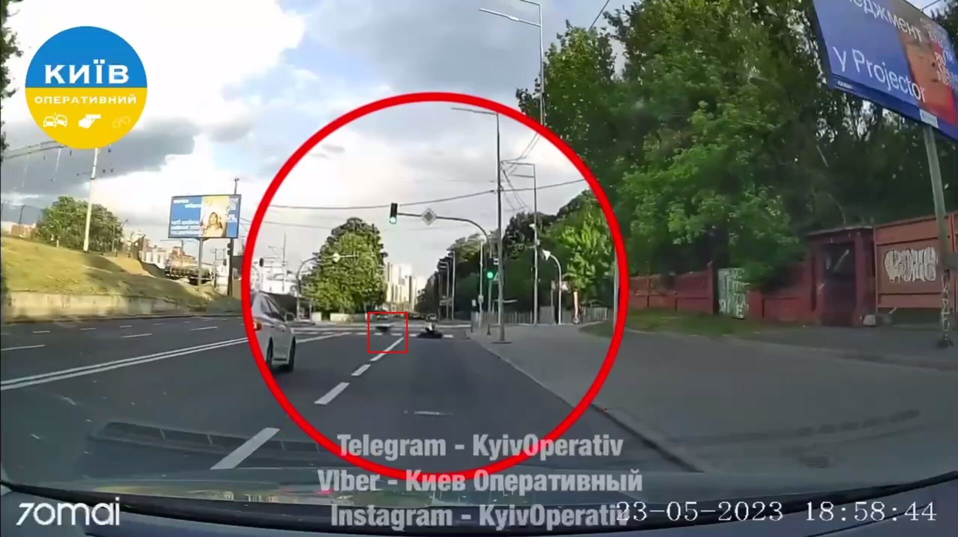 В Киеве мотоциклист чуть не погиб из-за собаки-нарушителя ПДД. Видео