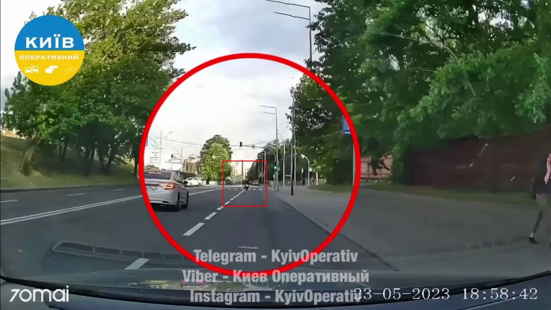 У Києві мотоцикліст ледь не загинув через собаку-порушника ПДР. Відео  dqxikeidqxidqrant