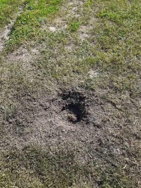 БПЛА атакував Курськ, фото dqxikeidqxidqeant